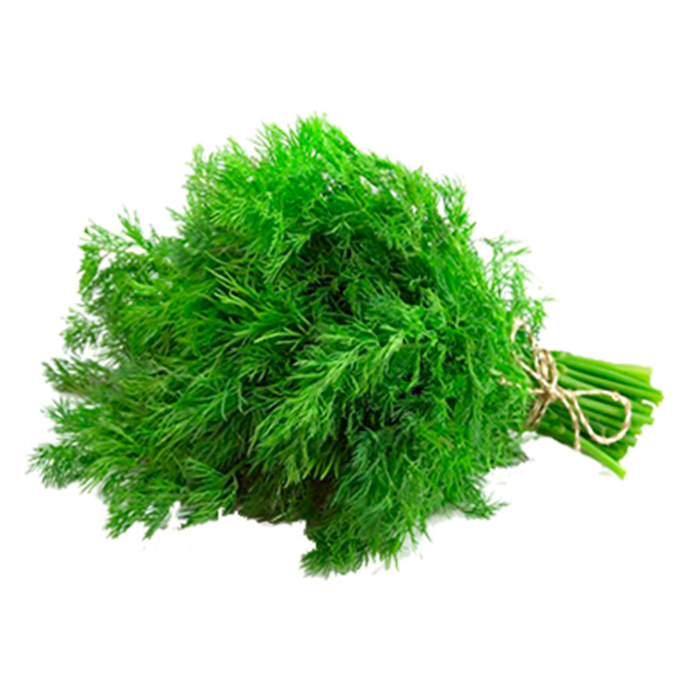 Пучок Укропа